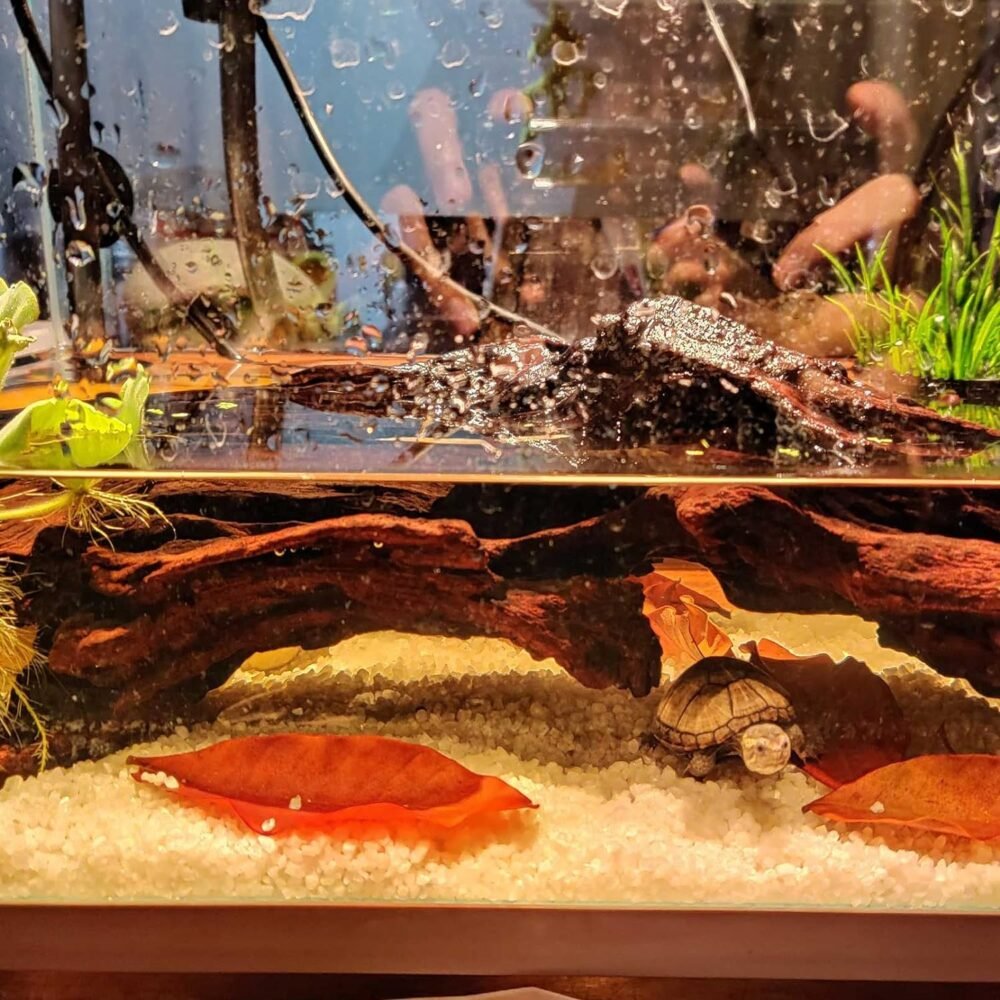 Gallery image with a fresh perspective