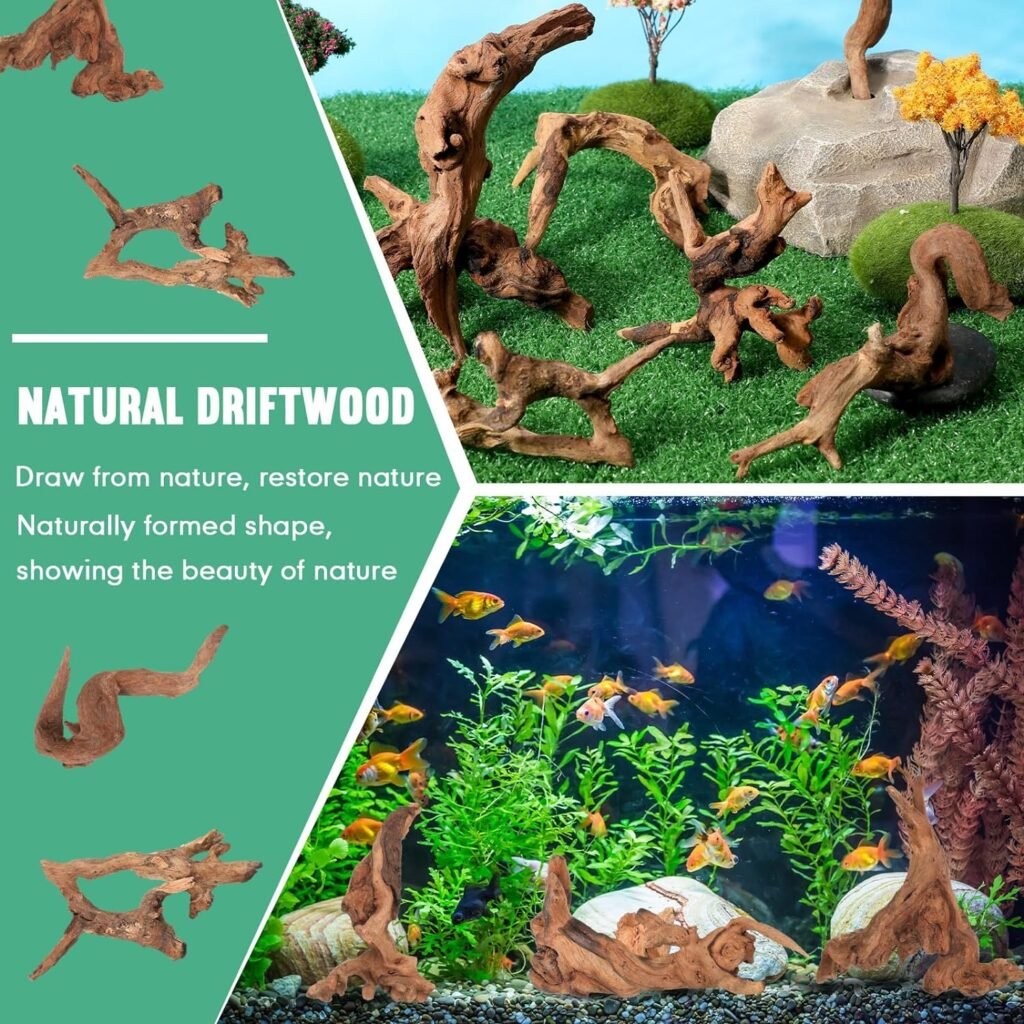 Suzile Coral Driftwood Review - Driftwood 4 Us