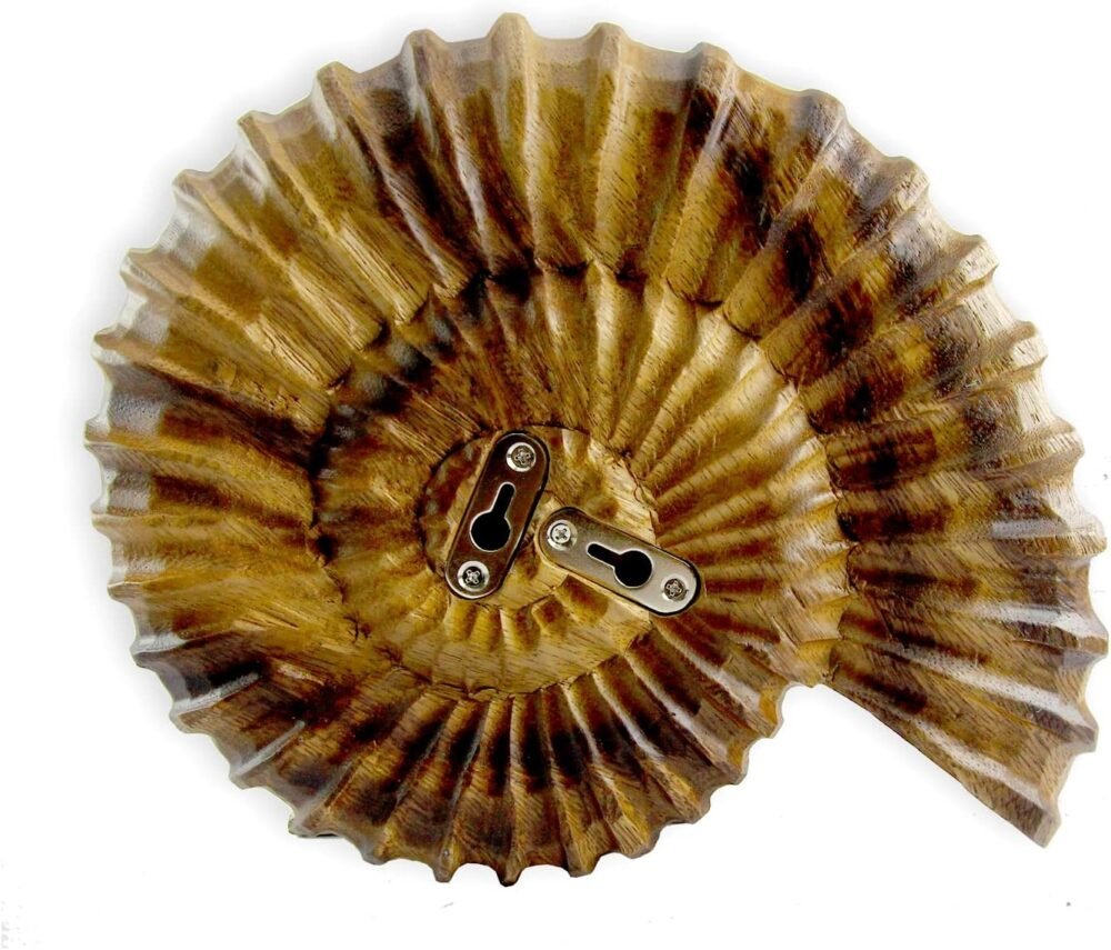 roro Coastal Charm: Handcarved Nautical Wood Nautilus Shell Wall ...