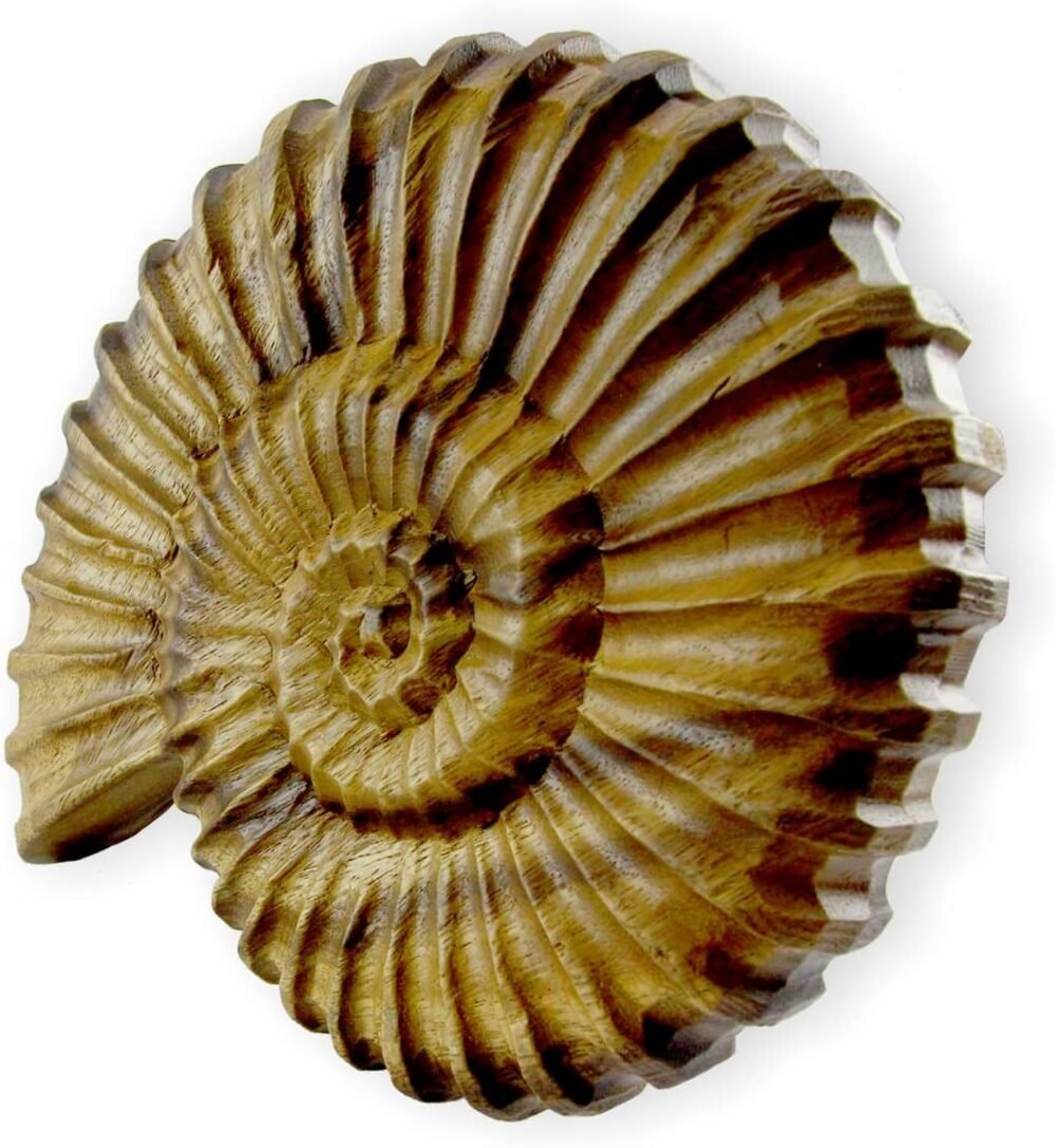 roro Coastal Charm: Handcarved Nautical Wood Nautilus Shell Wall ...